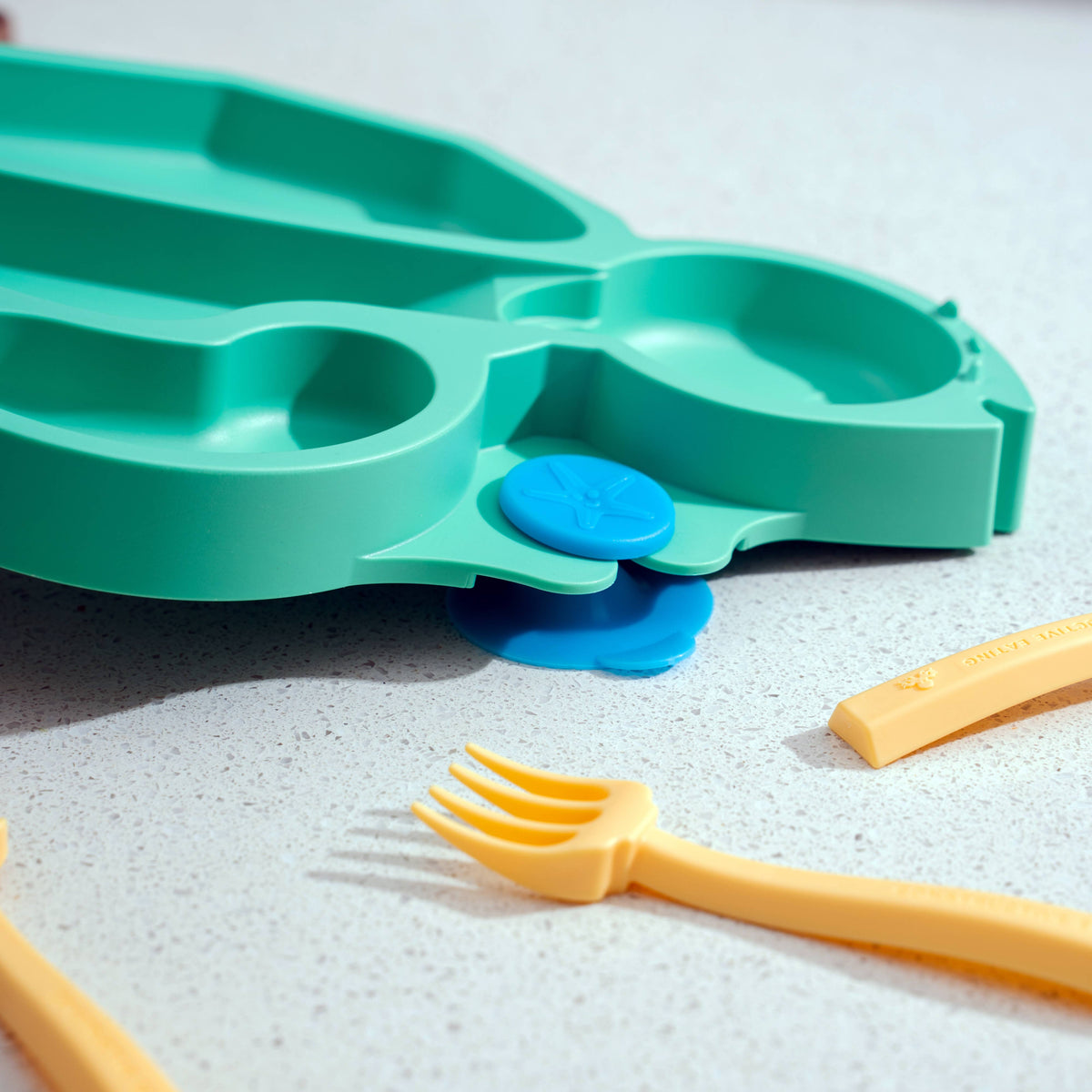 Turtle Suction Plate and Training Utensils