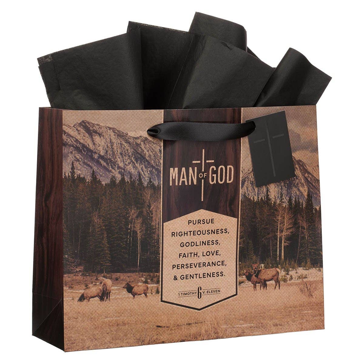 Gift Bag LG Landscape Man of God 1 Tim. 6:11