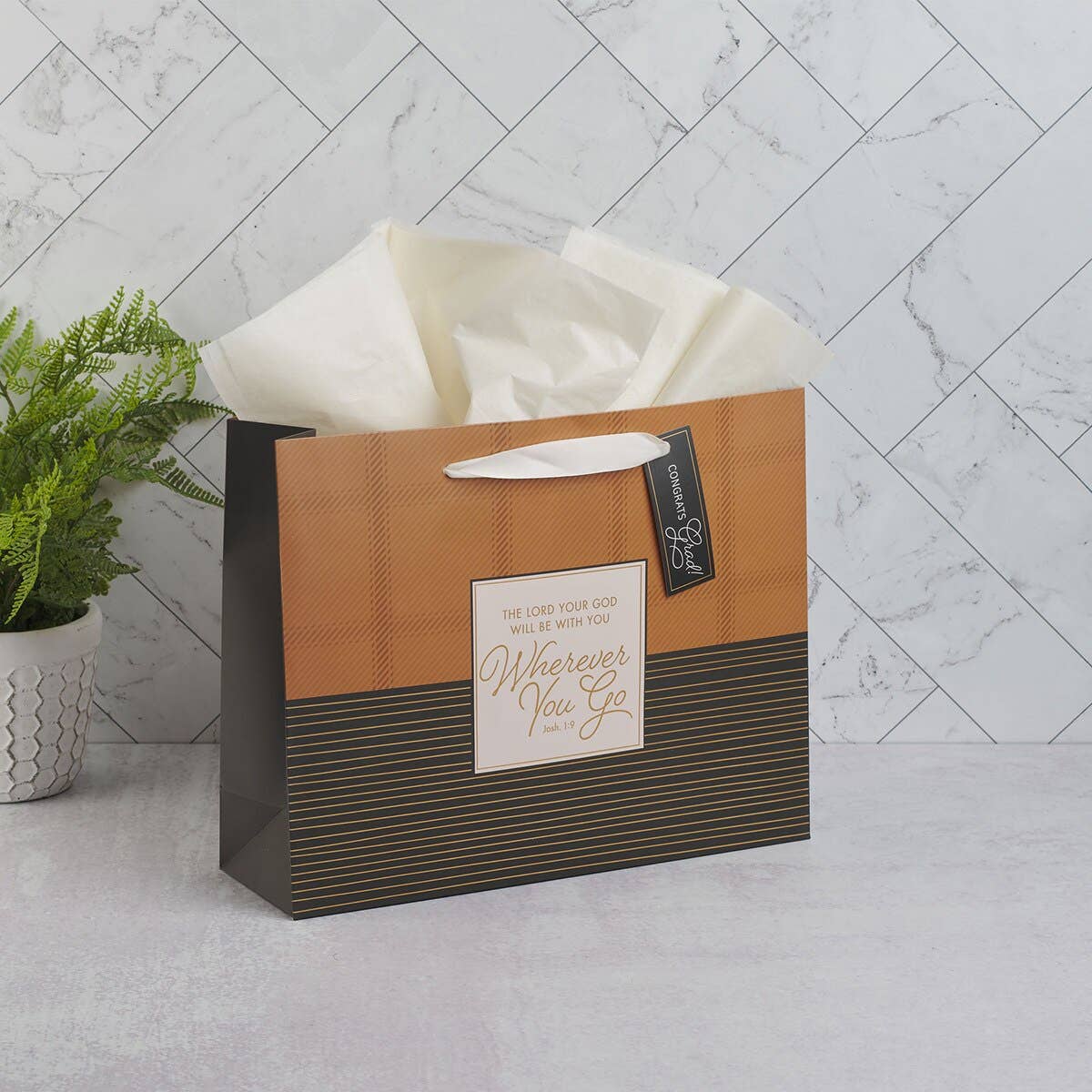 Gift Bag LG Landscape Wherever You Go Josh. 1:9