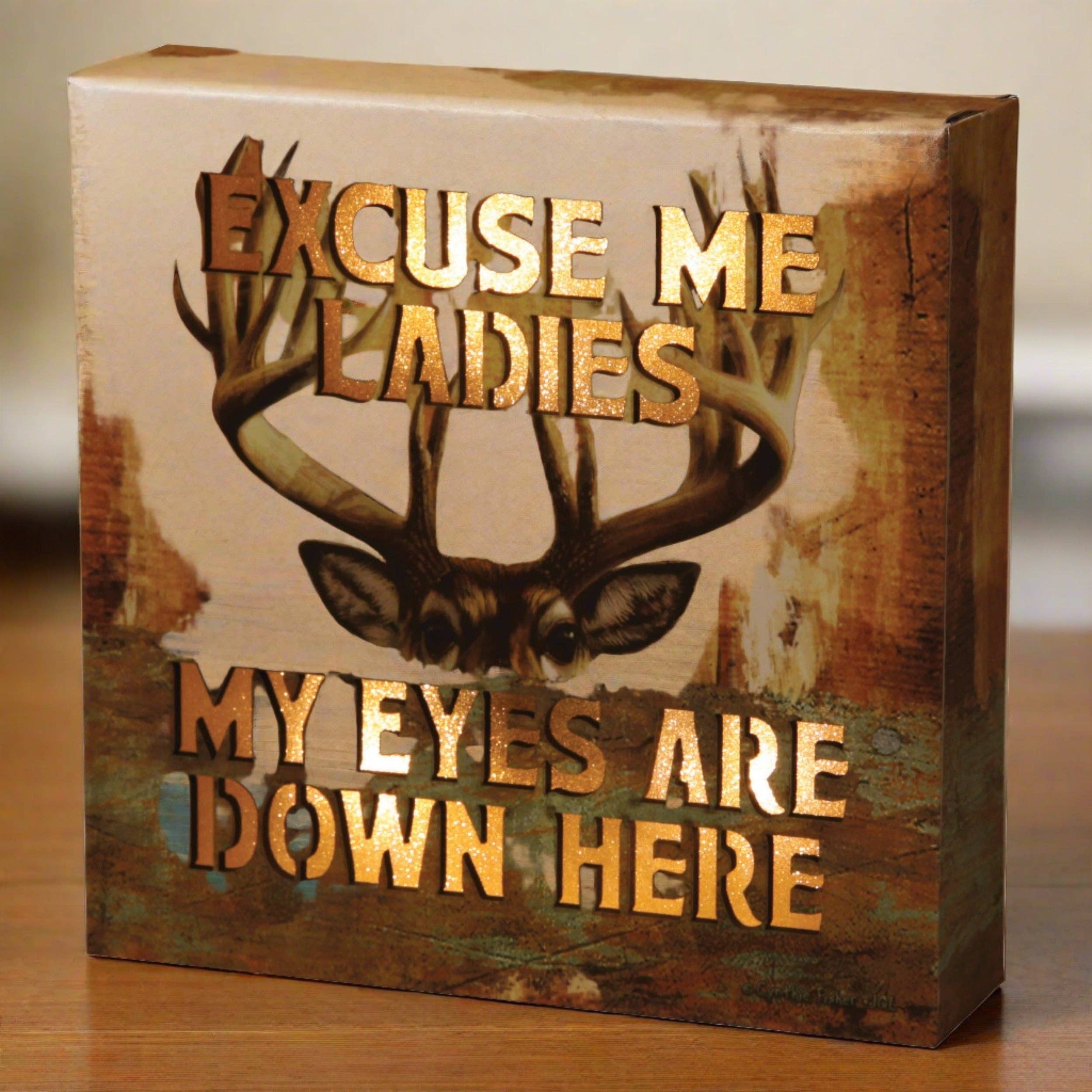 LED Box 6in x 6in-Excuse Me Ladies