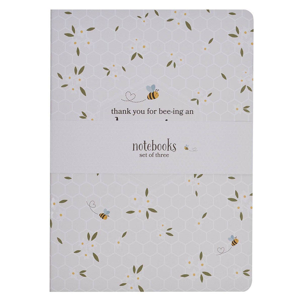 Notebook Set 3pc Amazing Teacher