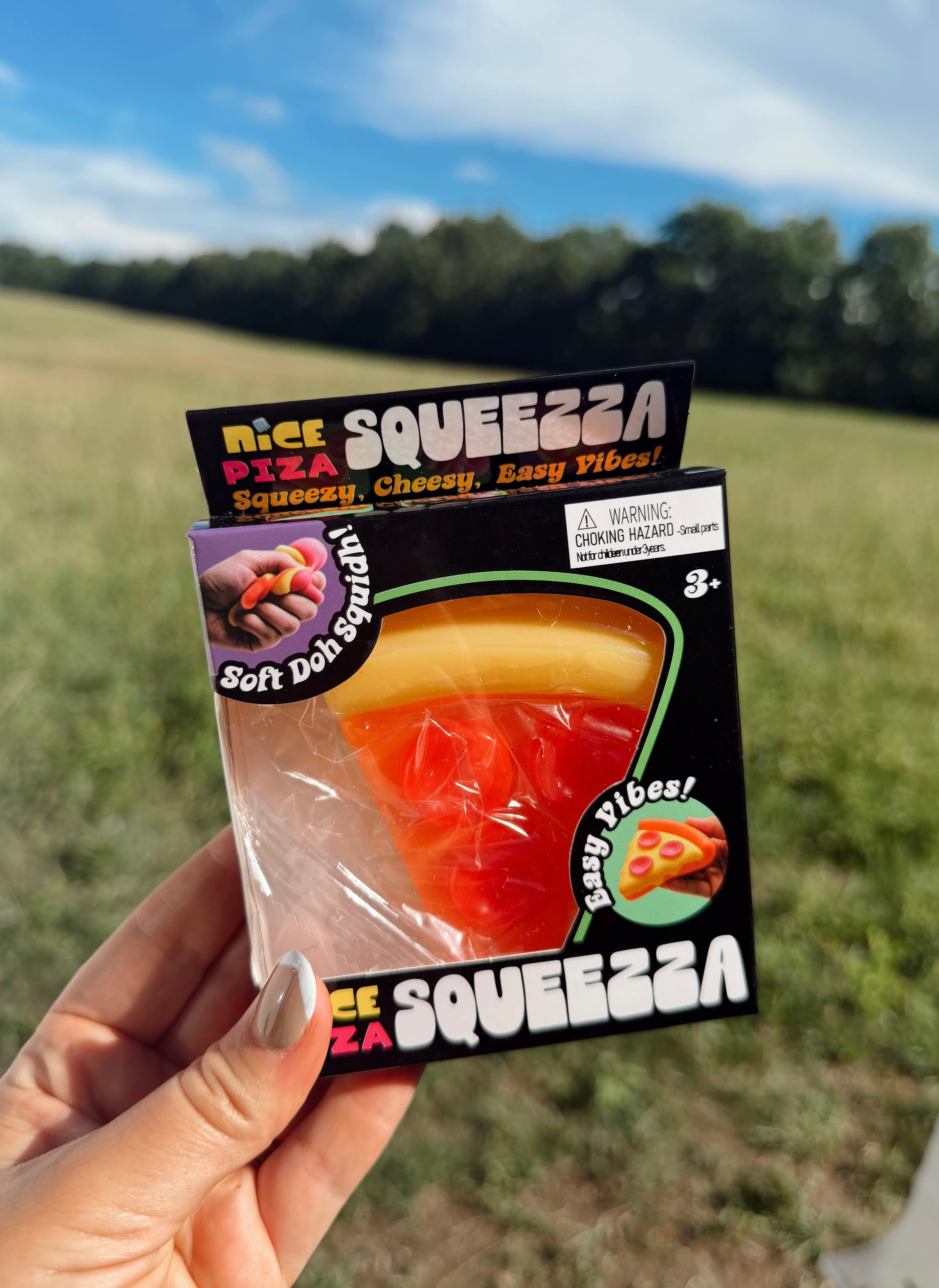 Pizza Squishy
