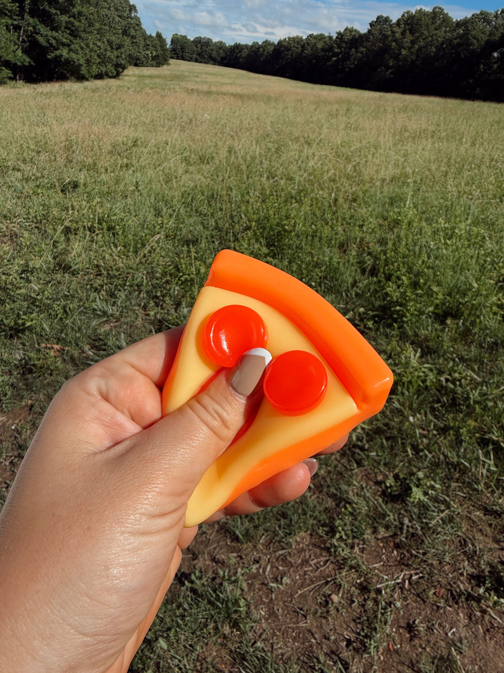 Pizza Squishy