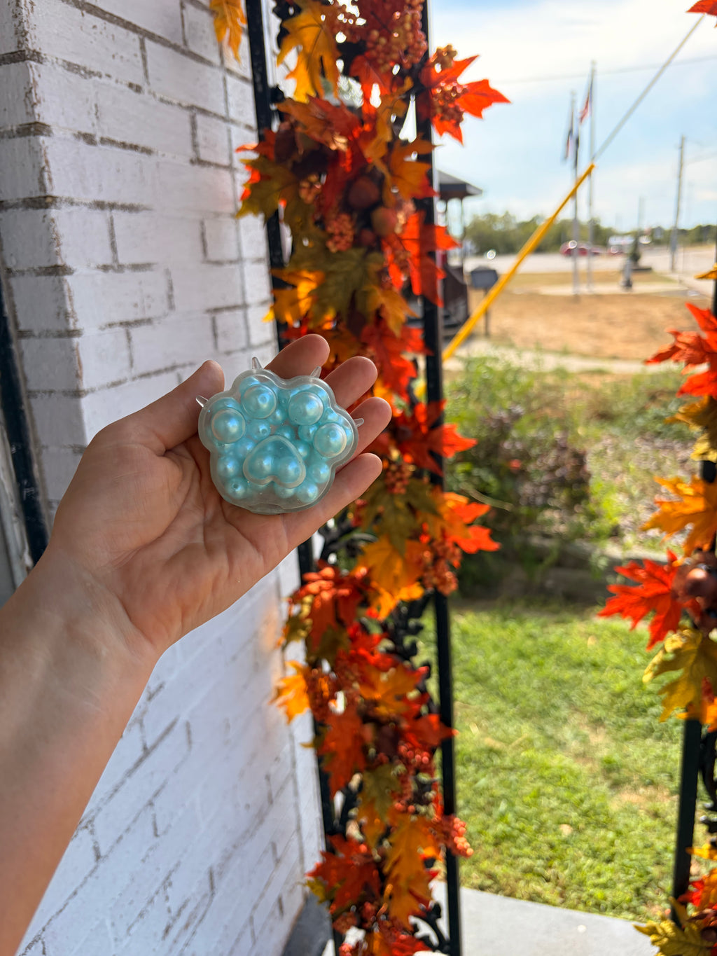 Claw Squishy with Beads