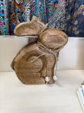 Brown Bunny