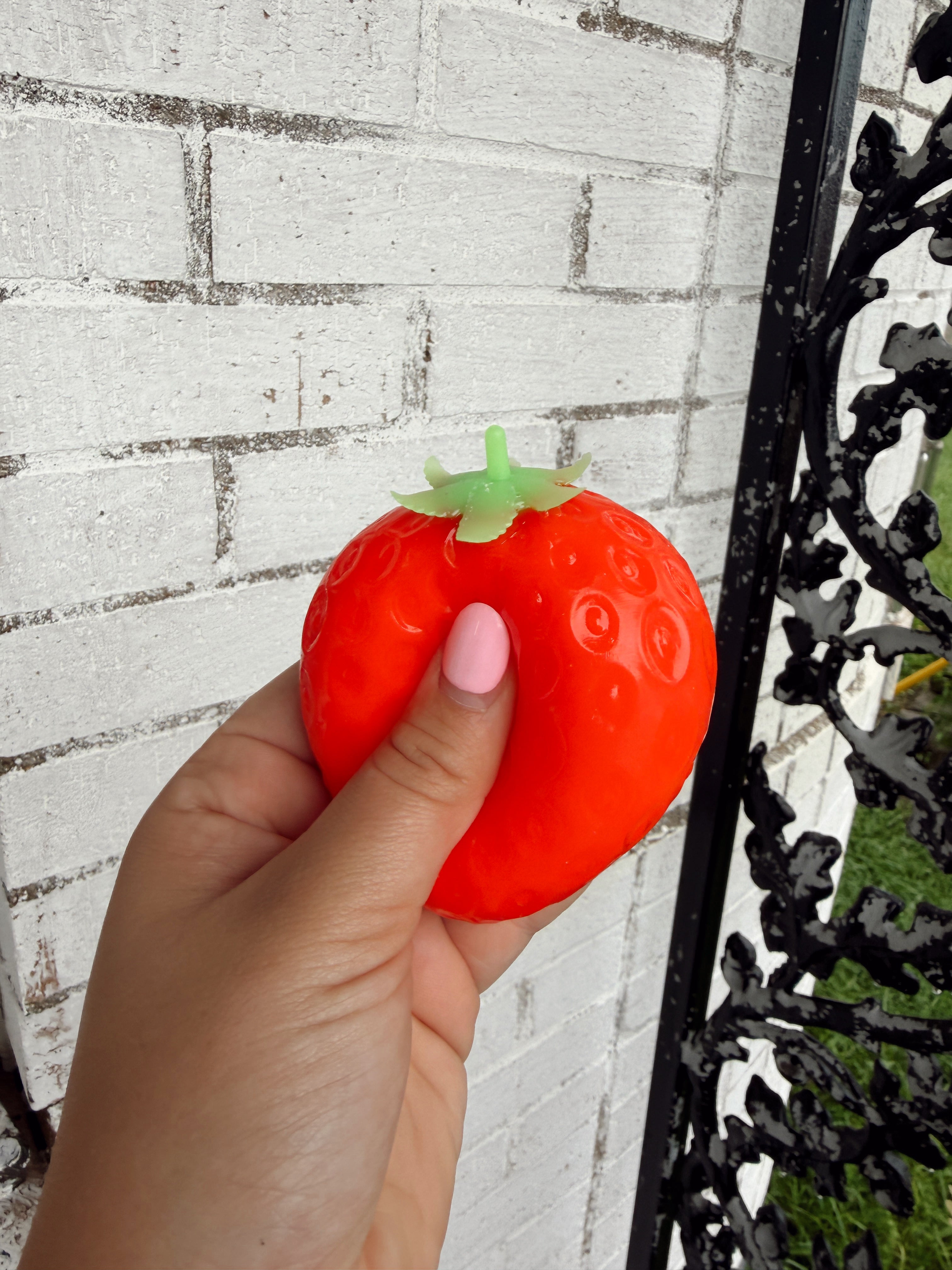 Strawberry Squishy