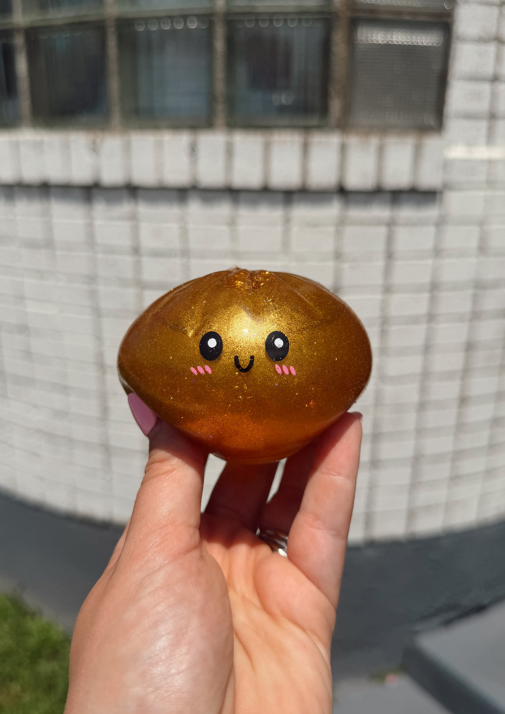 Surprise Squishy Dumpling Toy
