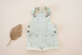 Striped Denim Overall