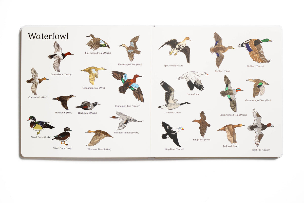 The Big Book of Hunting