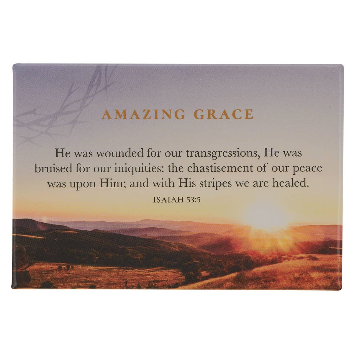 Magnet Crown of Thorns/Amazing Grace Isa. 53:5
