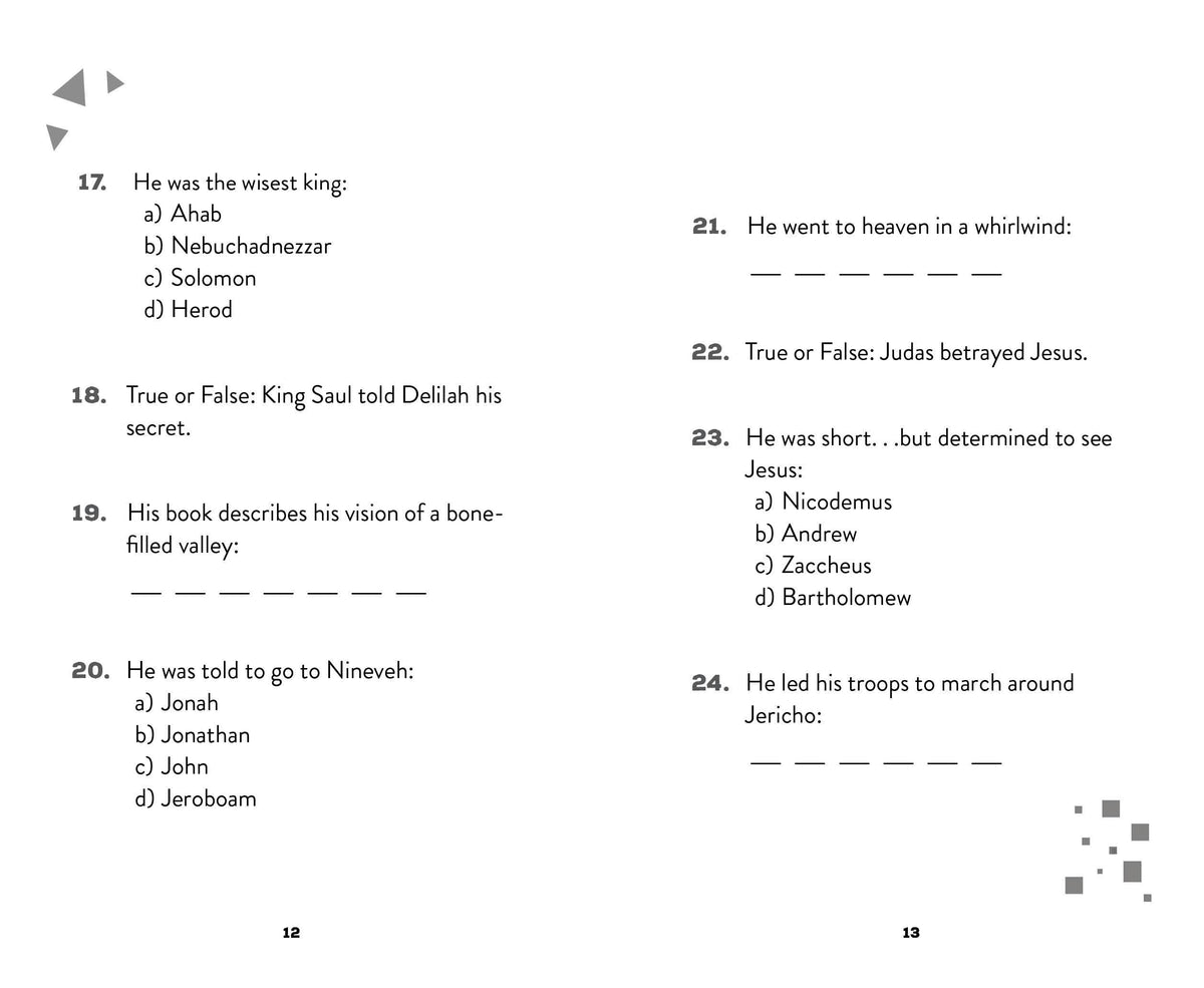 Who Did It? : A Bible Quiz Challenge for Kids